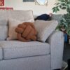20241024_113825 3 + 2 Seater Sofa Set in Lisbon Beige